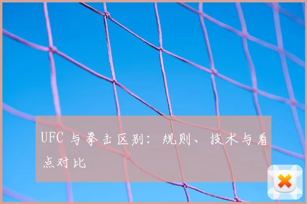 UFC 与拳击区别：规则、技术与看点对比